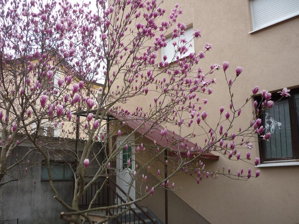Međugorje Guest House Ok المظهر الخارجي الصورة